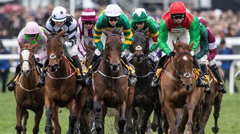 cheltenham live updates|cheltenham updates today.